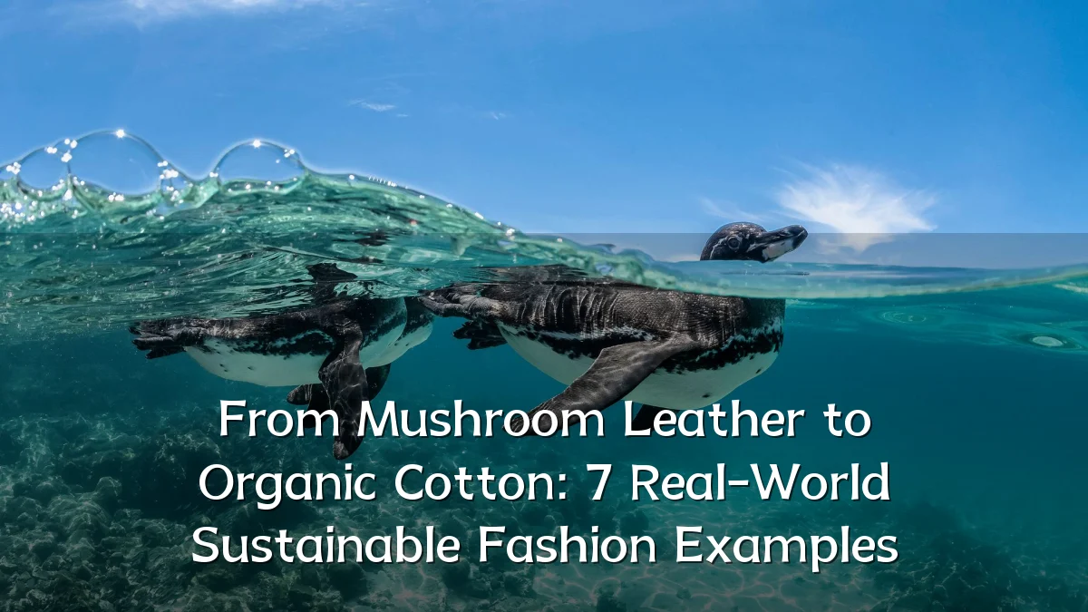 From Mushroom Leather to Organic Cotton: 7 Real-World Sustainable Fashion Examples