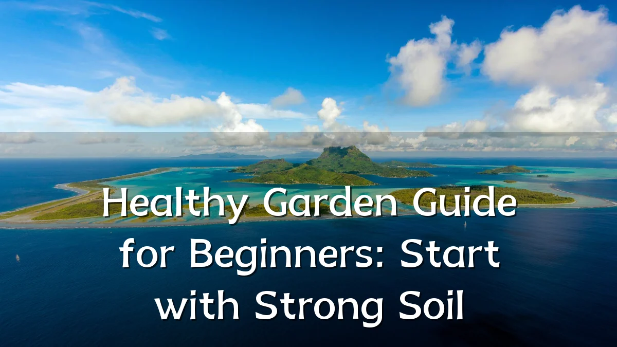 Healthy Garden Guide for Beginners: Start with Strong Soil