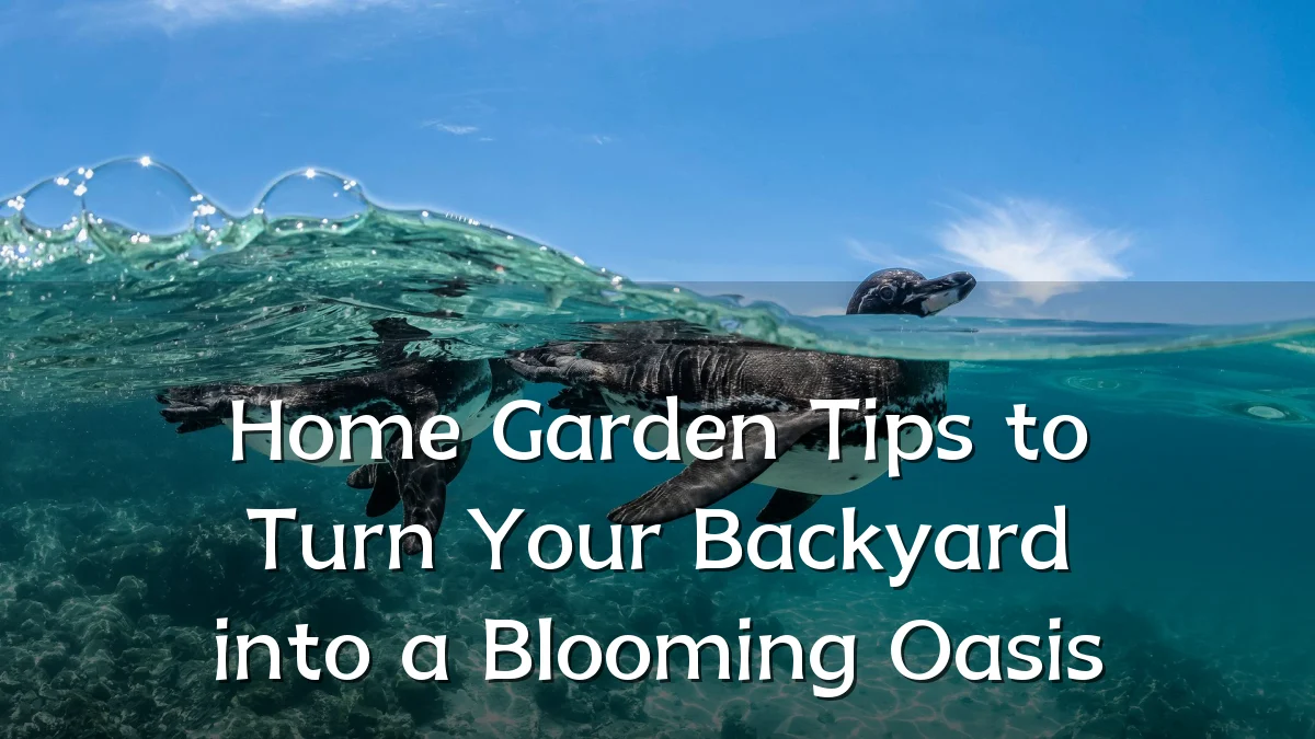 Home Garden Tips to Turn Your Backyard into a Blooming Oasis