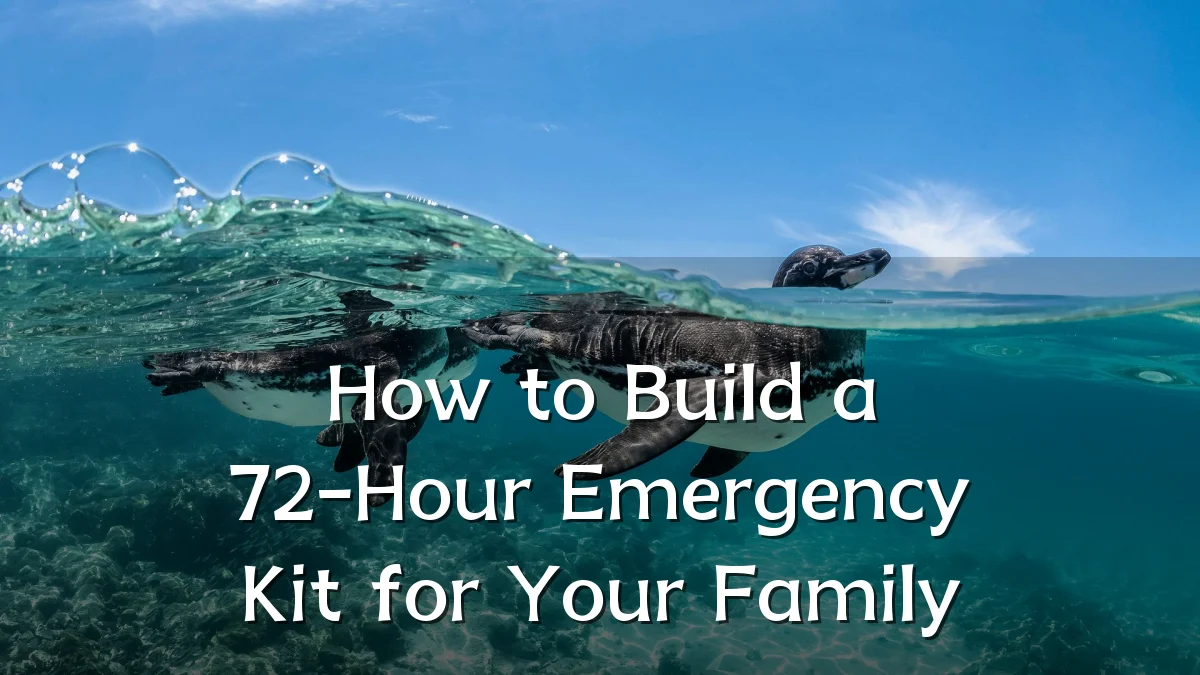 How to Build a 72-Hour Emergency Kit for Your Family
