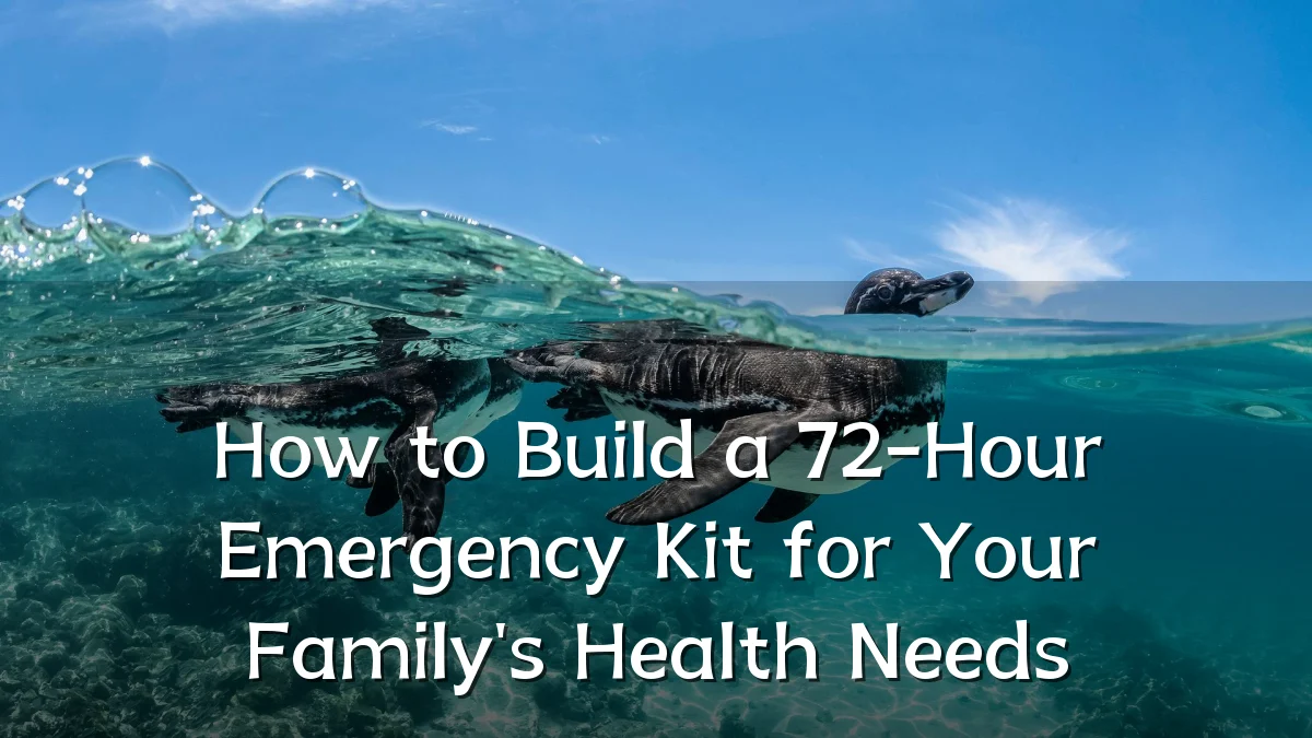 How to Build a 72-Hour Emergency Kit for Your Family's Health Needs