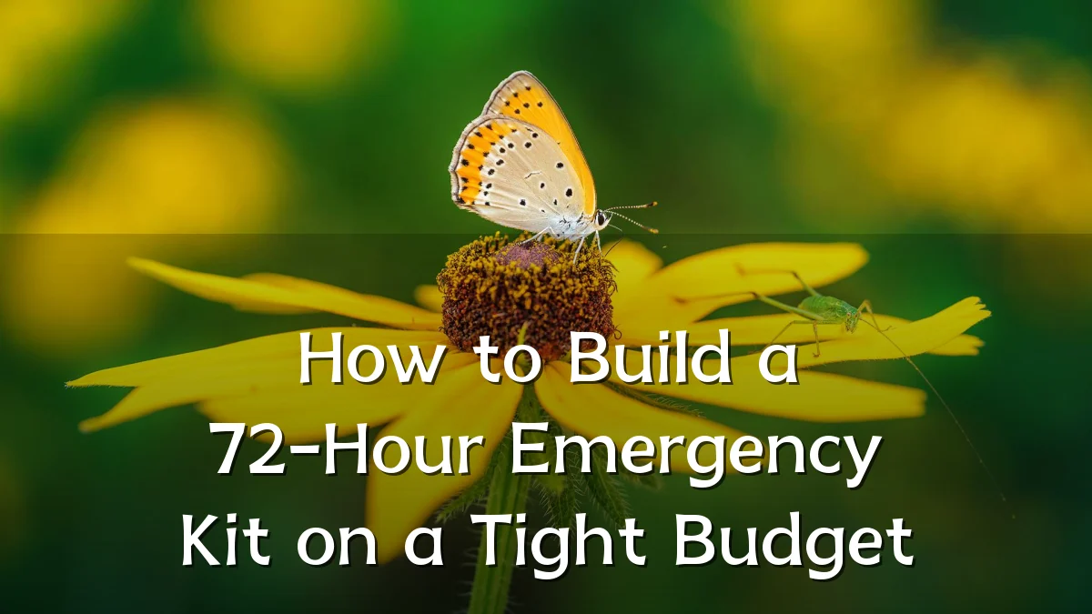 How to Build a 72-Hour Emergency Kit on a Tight Budget