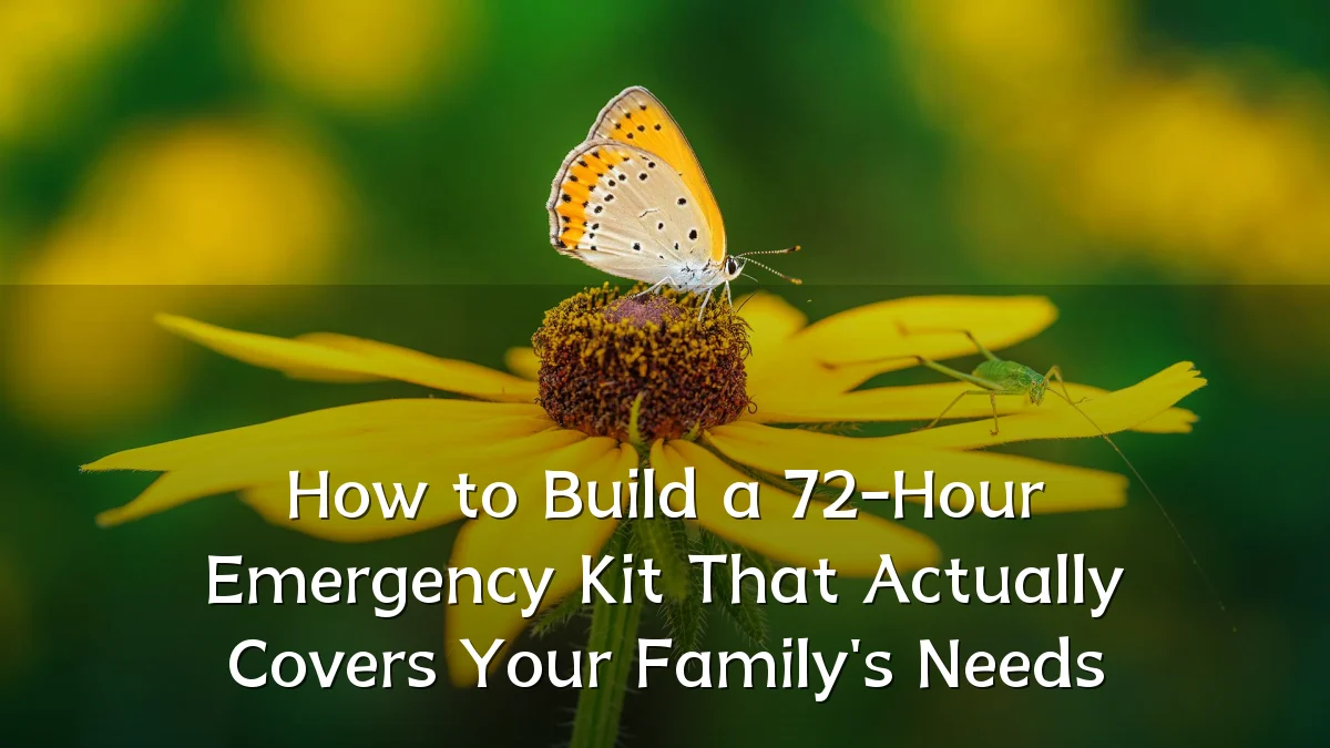 How to Build a 72-Hour Emergency Kit That Actually Covers Your Family's Needs
