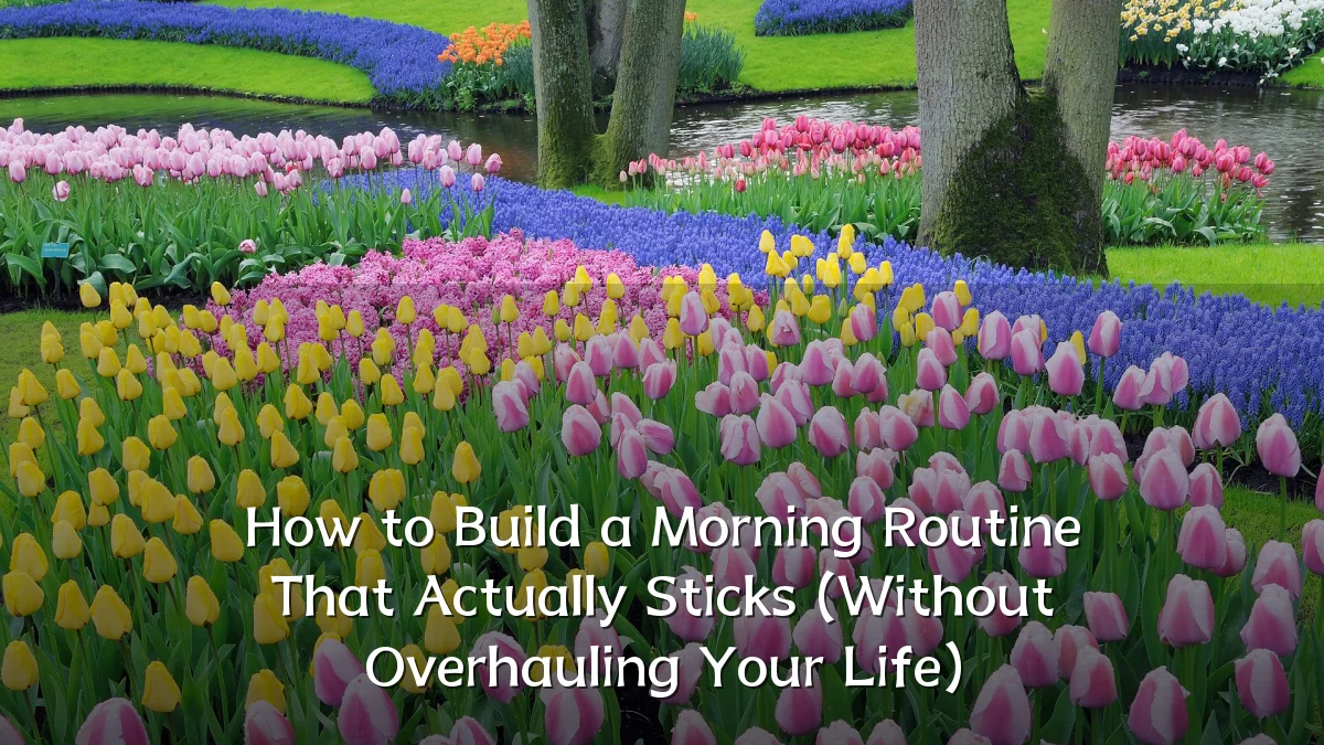 How to Build a Morning Routine That Actually Sticks (Without Overhauling Your Life)