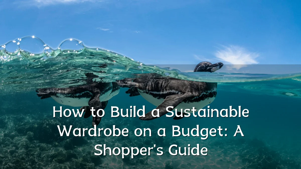 How to Build a Sustainable Wardrobe on a Budget: A Shopper's Guide