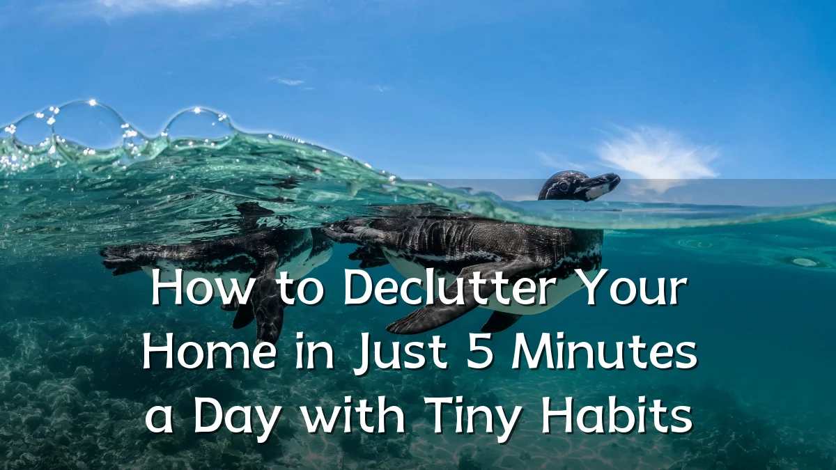 How to Declutter Your Home in Just 5 Minutes a Day with Tiny Habits