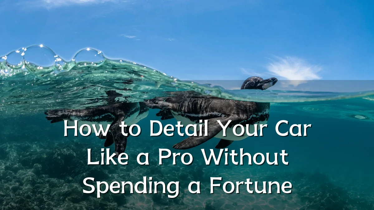 How to Detail Your Car Like a Pro Without Spending a Fortune