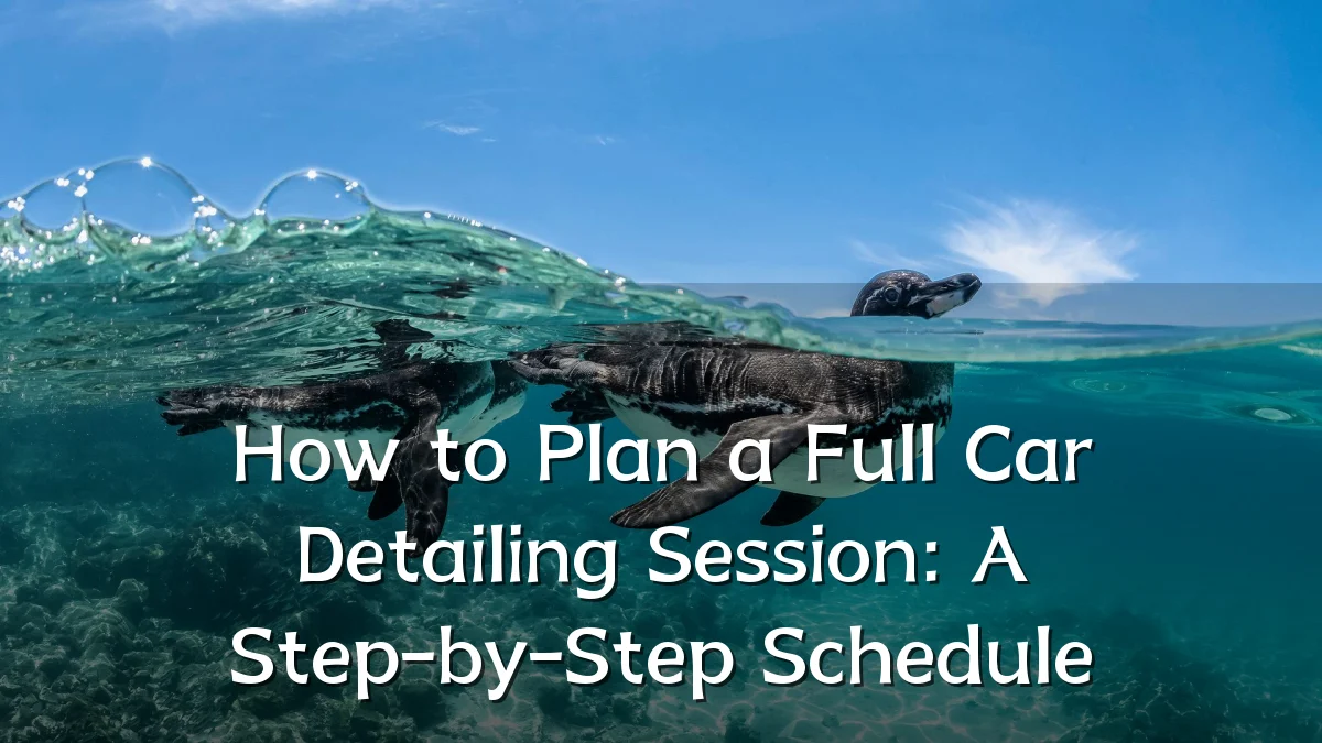 How to Plan a Full Car Detailing Session: A Step-by-Step Schedule