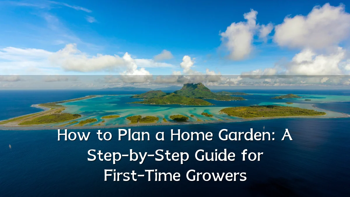 How to Plan a Home Garden: A Step-by-Step Guide for First-Time Growers