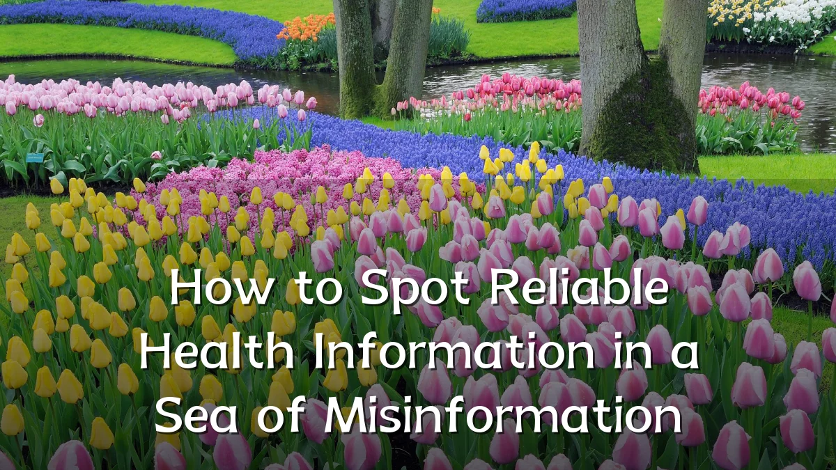 How to Spot Reliable Health Information in a Sea of Misinformation