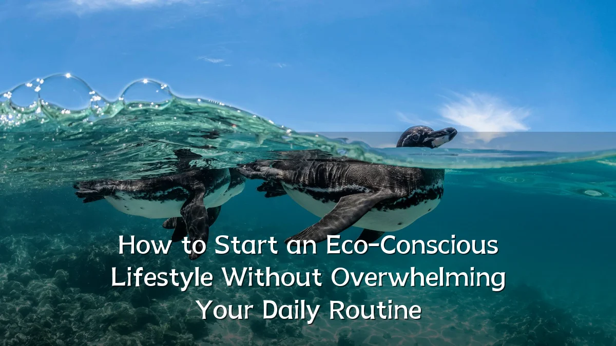 How to Start an Eco-Conscious Lifestyle Without Overwhelming Your Daily Routine