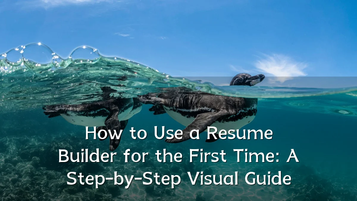 How to Use a Resume Builder for the First Time: A Step-by-Step Visual Guide