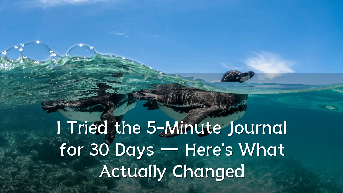 I Tried the 5-Minute Journal for 30 Days — Here's What Actually Changed