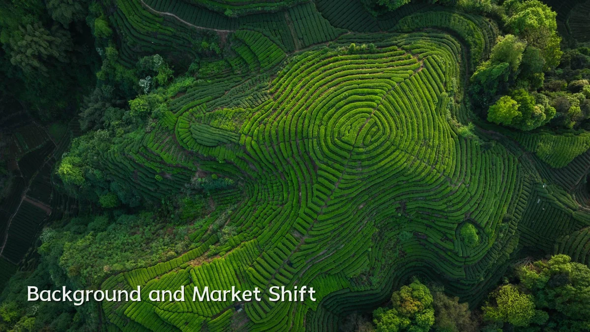 Background and Market Shift