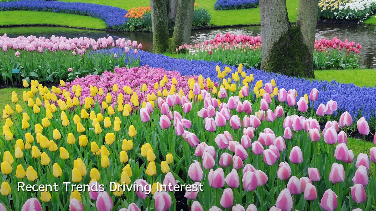 Recent Trends Driving Interest