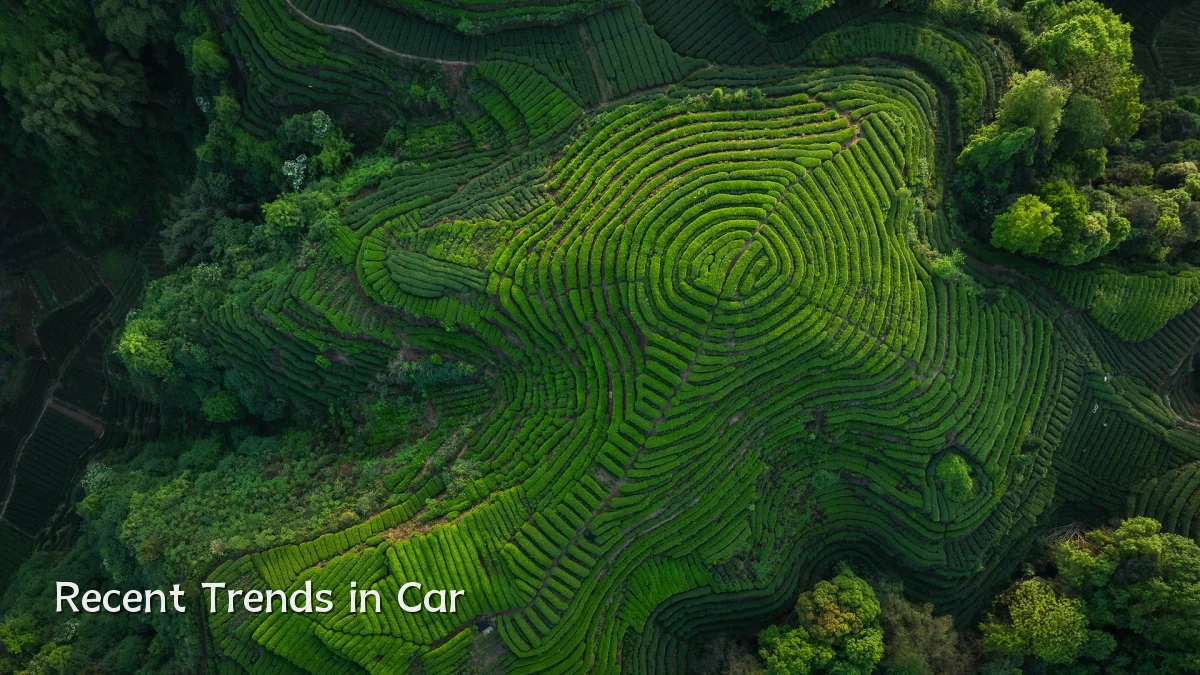 Recent Trends in Car