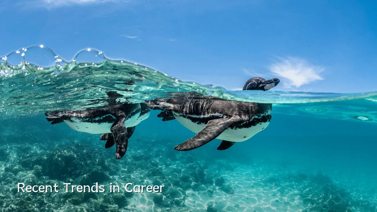 Recent Trends in Career