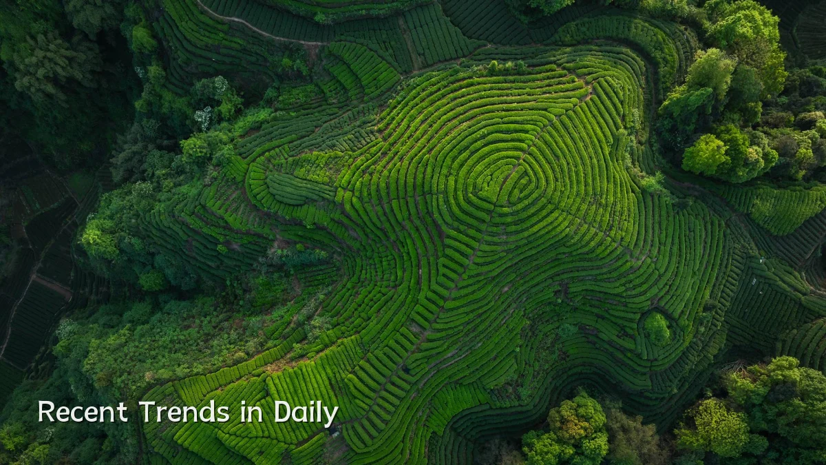 Recent Trends in Daily