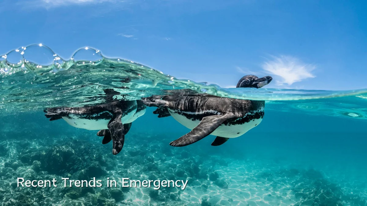Recent Trends in Emergency