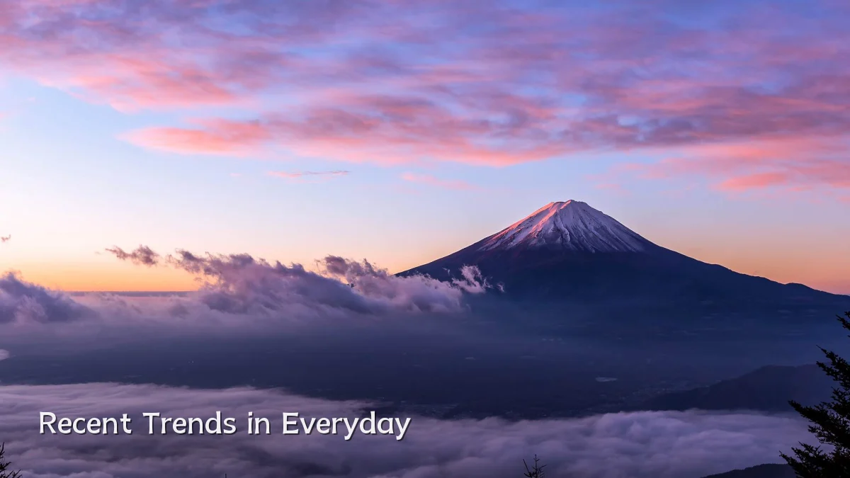 Recent Trends in Everyday