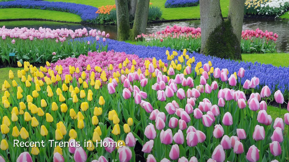 Recent Trends in Home