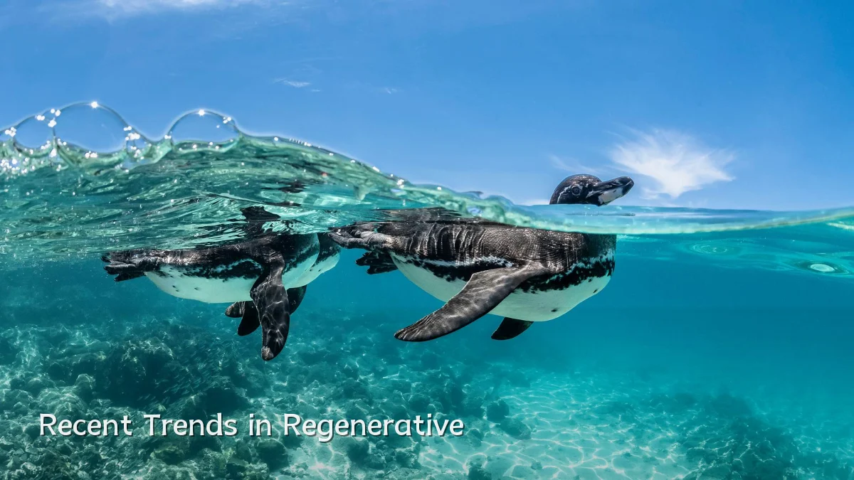 Recent Trends in Regenerative