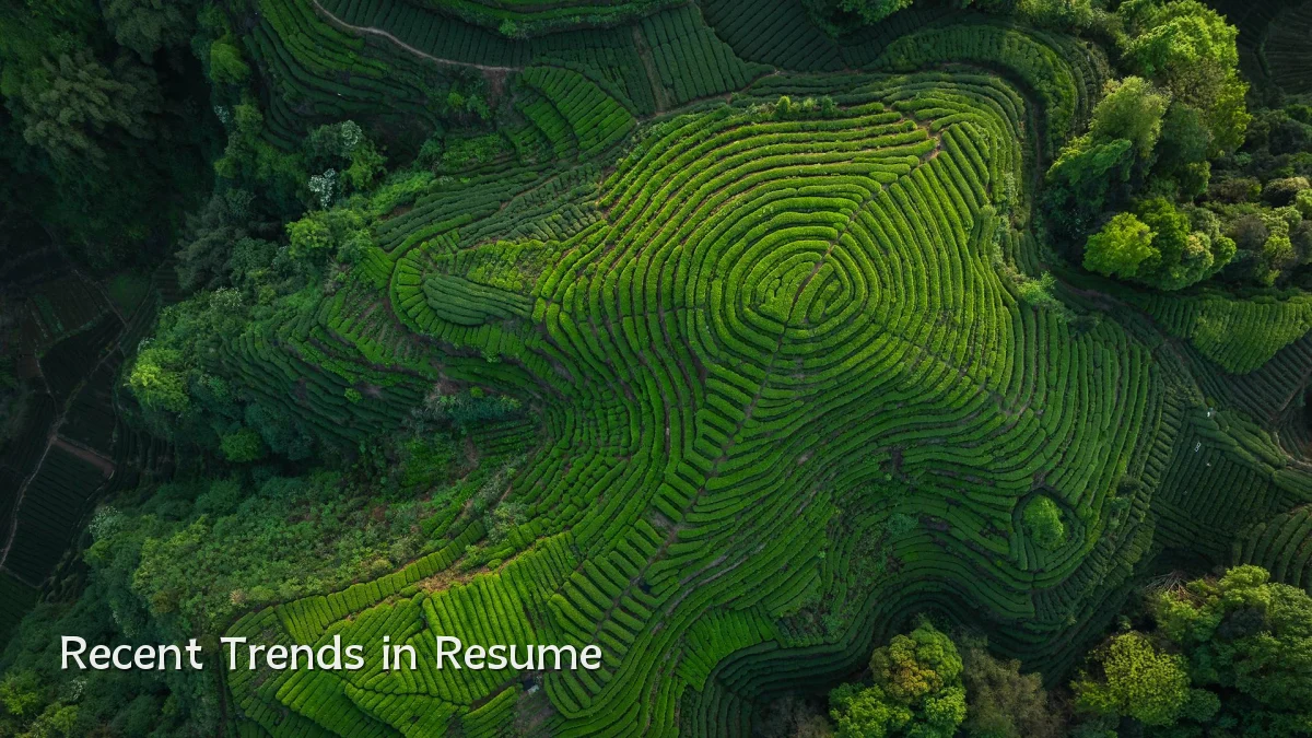 Recent Trends in Resume