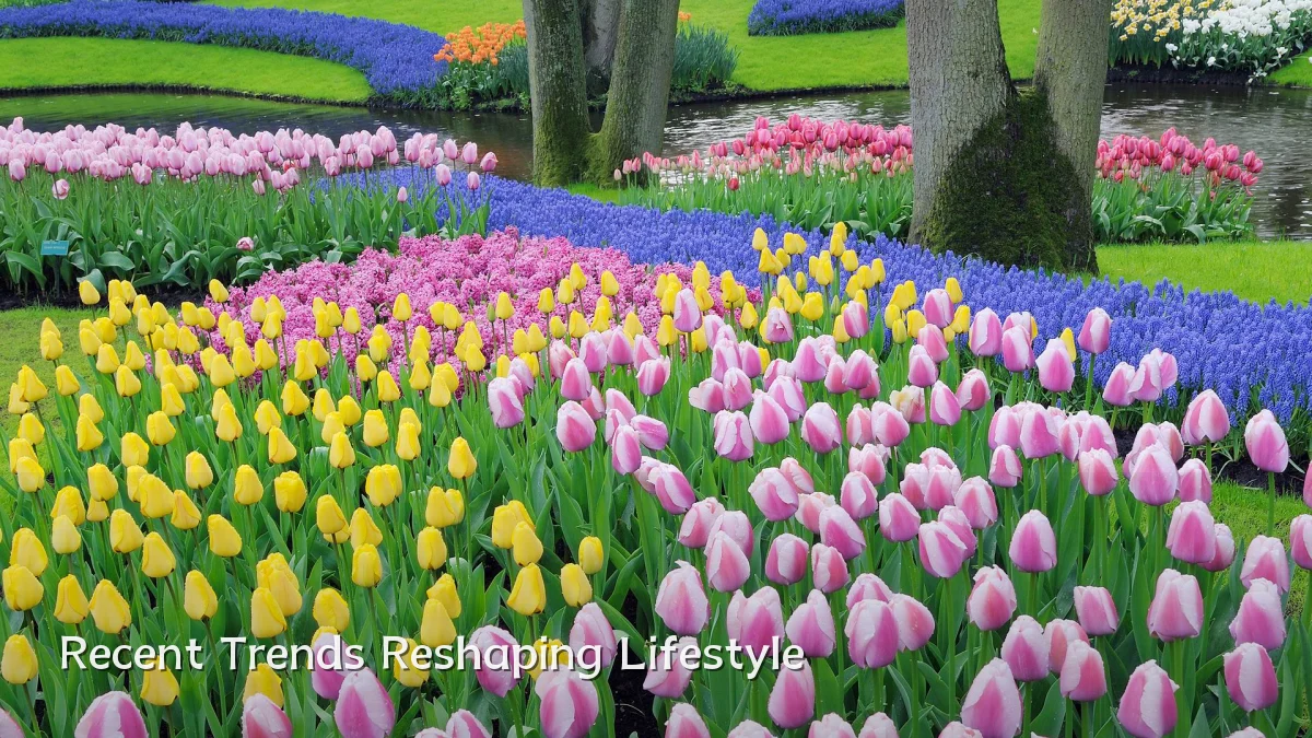 Recent Trends Reshaping Lifestyle