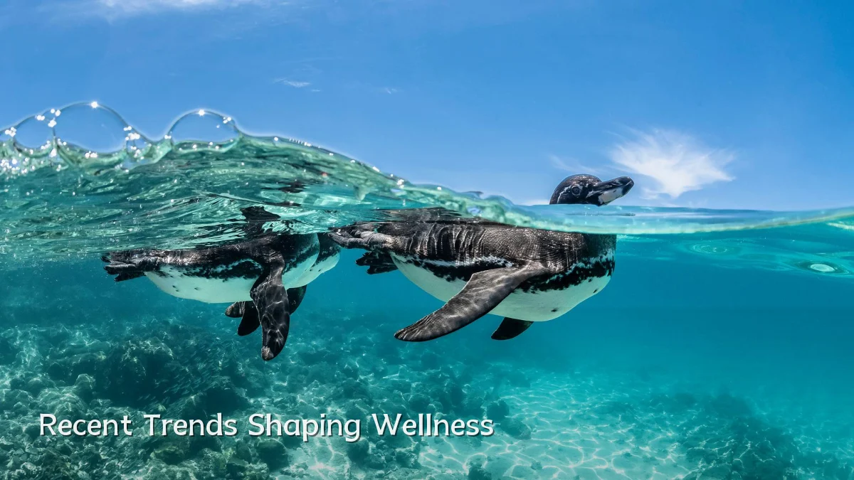 Recent Trends Shaping Wellness