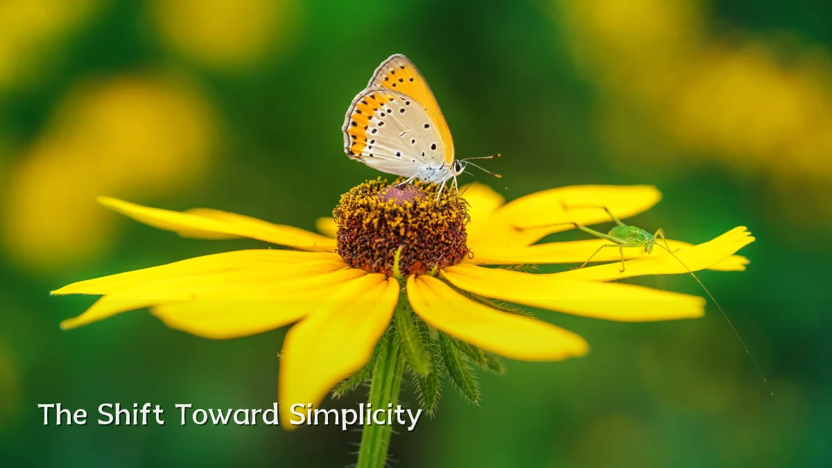 The Shift Toward Simplicity