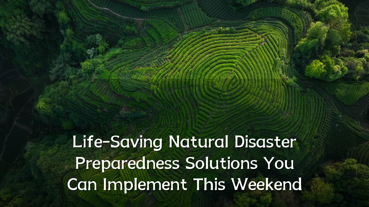 Life-Saving Natural Disaster Preparedness Solutions You Can Implement This Weekend