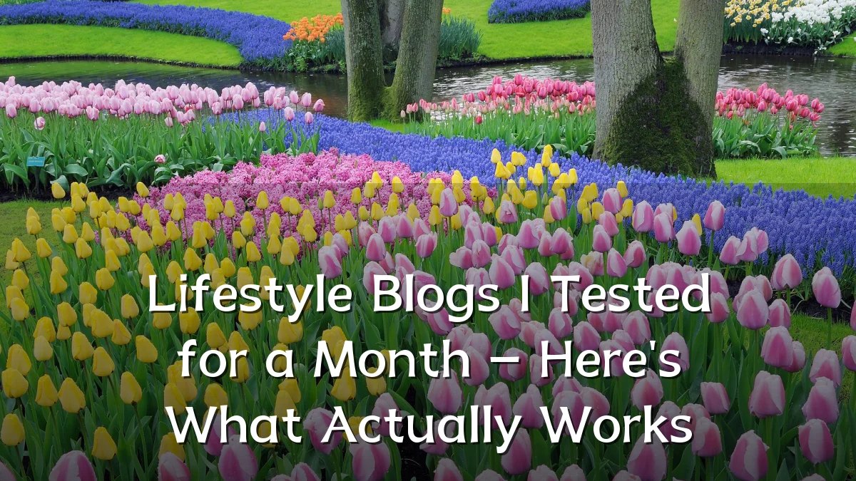 Lifestyle Blogs I Tested for a Month – Here's What Actually Works