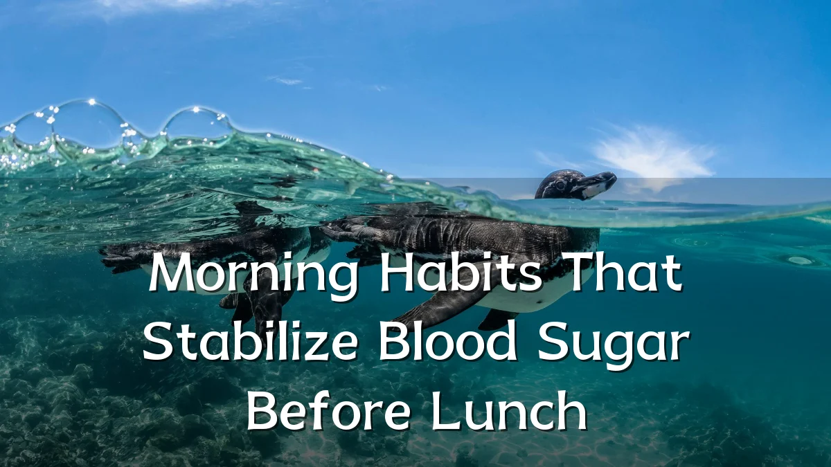 Morning Habits That Stabilize Blood Sugar Before Lunch