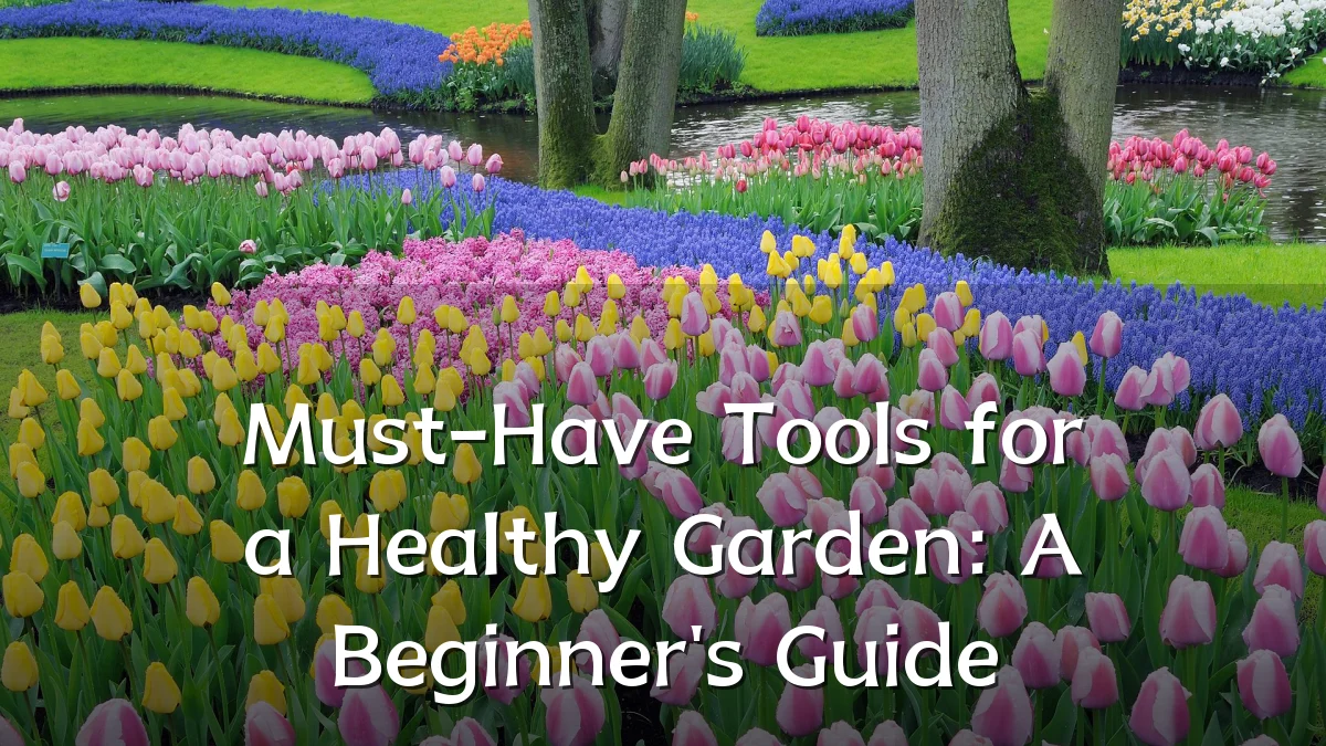 Must-Have Tools for a Healthy Garden: A Beginner's Guide