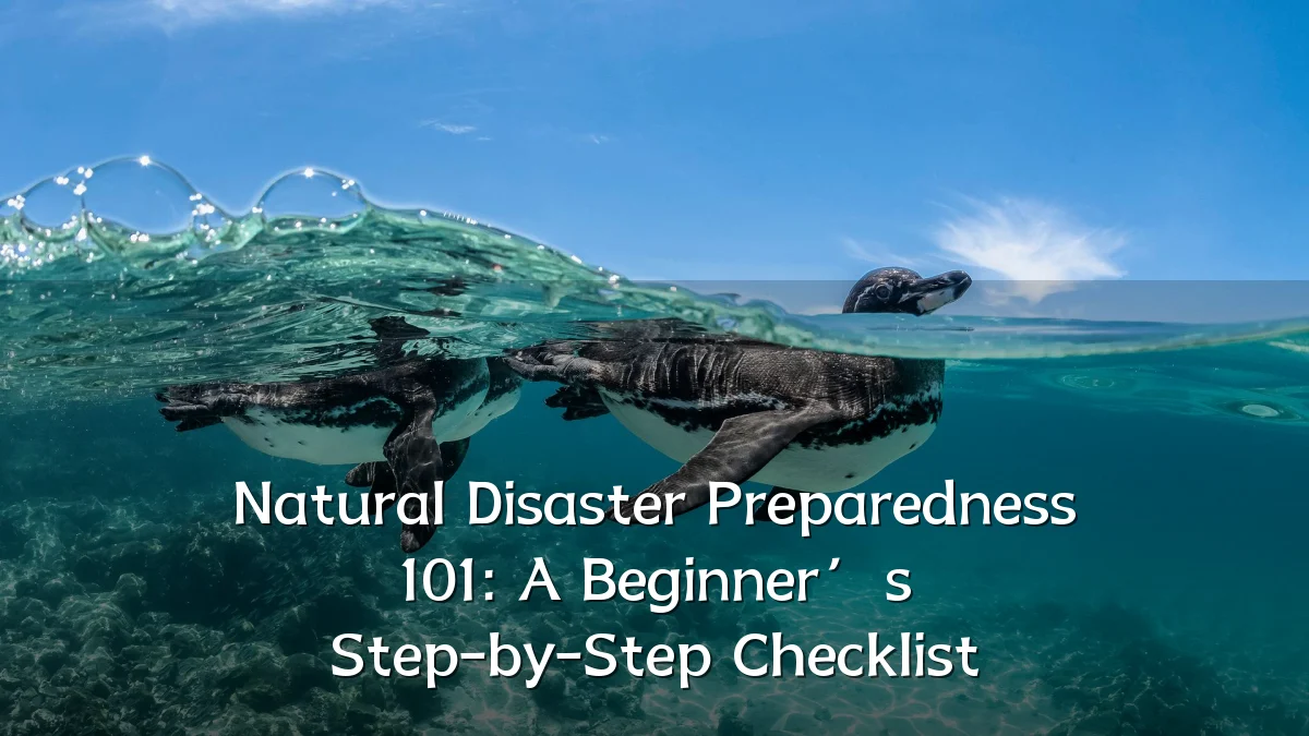 Natural Disaster Preparedness 101: A Beginner’s Step-by-Step Checklist