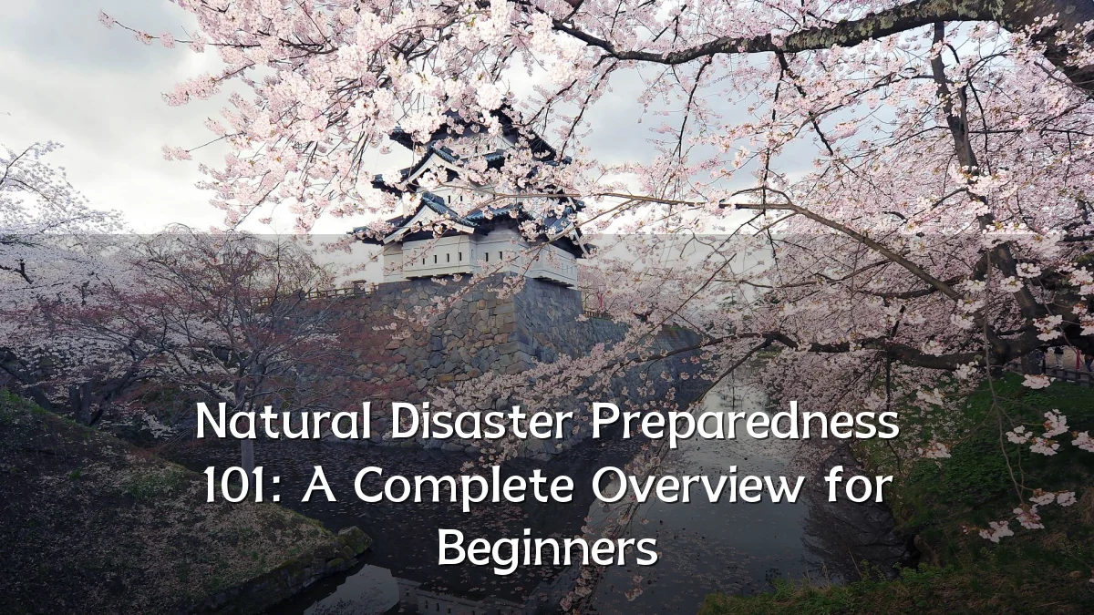 Natural Disaster Preparedness 101: A Complete Overview for Beginners