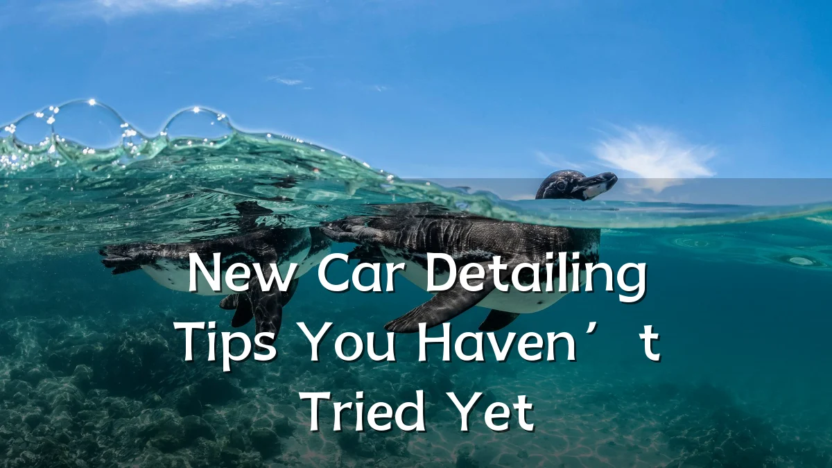 New Car Detailing Tips You Haven’t Tried Yet