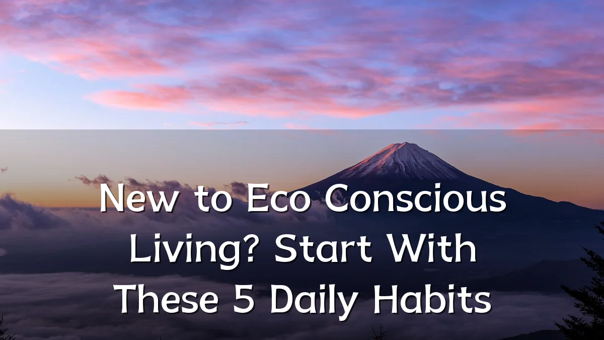 New to Eco Conscious Living? Start With These 5 Daily Habits