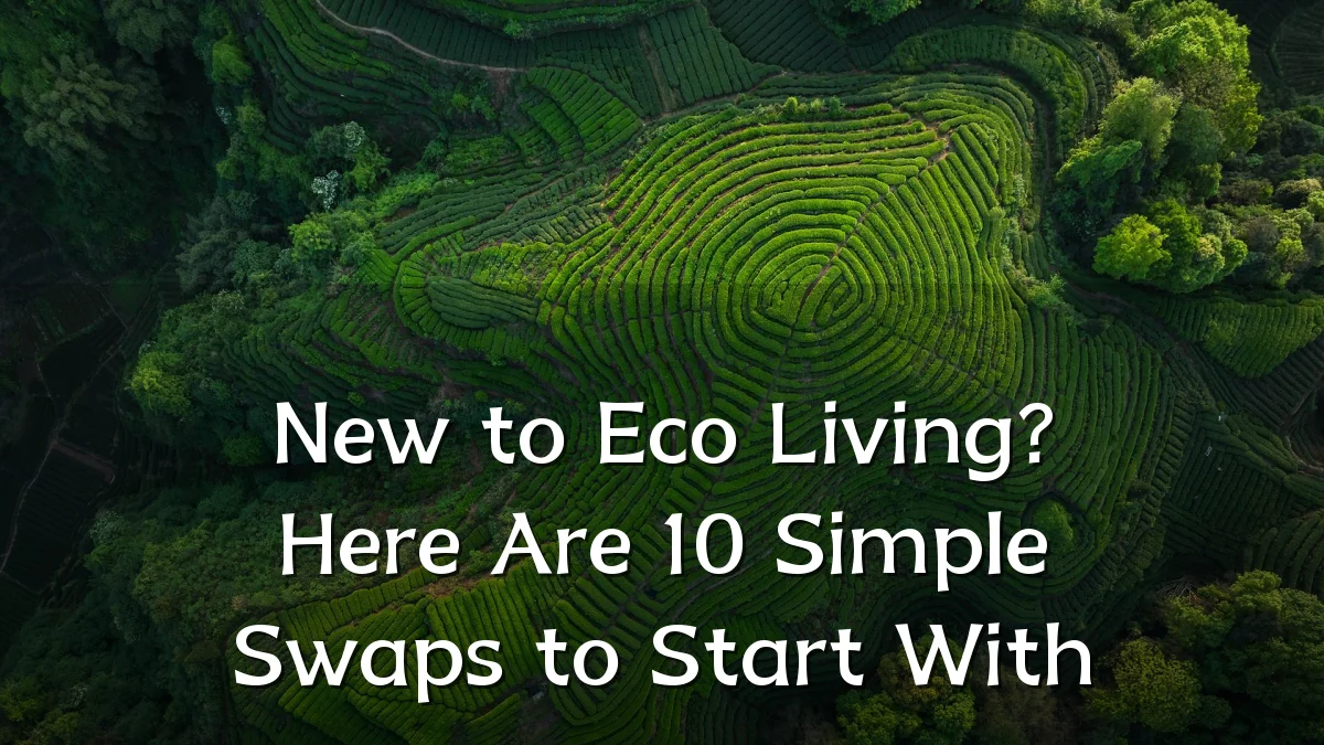 New to Eco Living? Here Are 10 Simple Swaps to Start With