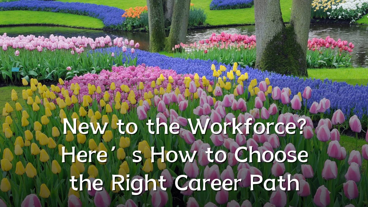 New to the Workforce? Here’s How to Choose the Right Career Path