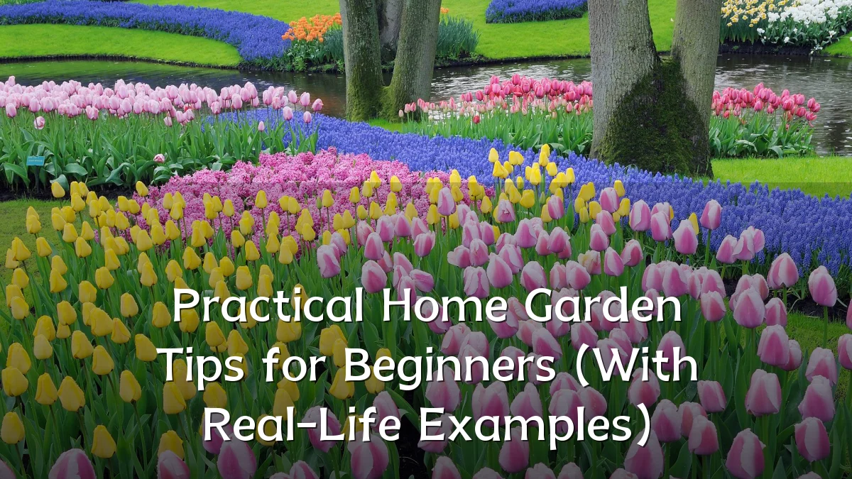 Practical Home Garden Tips for Beginners (With Real-Life Examples)