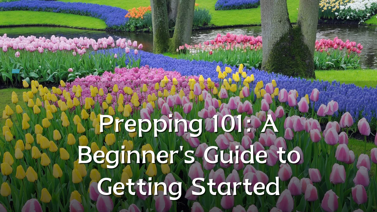 Prepping 101: A Beginner's Guide to Getting Started