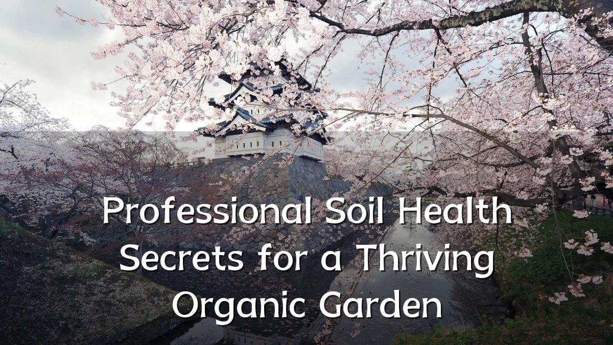 Professional Soil Health Secrets for a Thriving Organic Garden