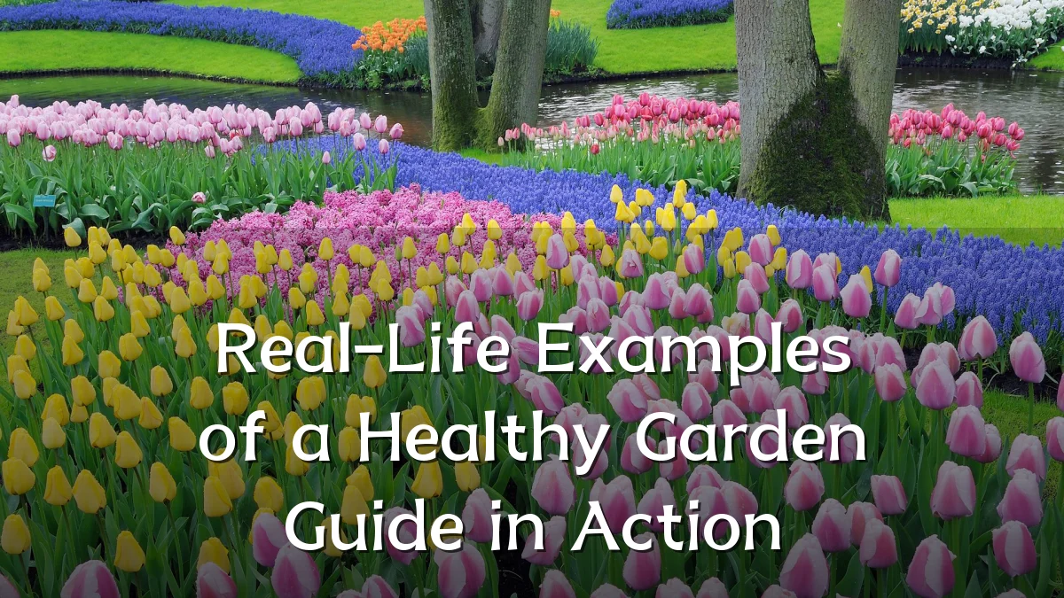 Real-Life Examples of a Healthy Garden Guide in Action