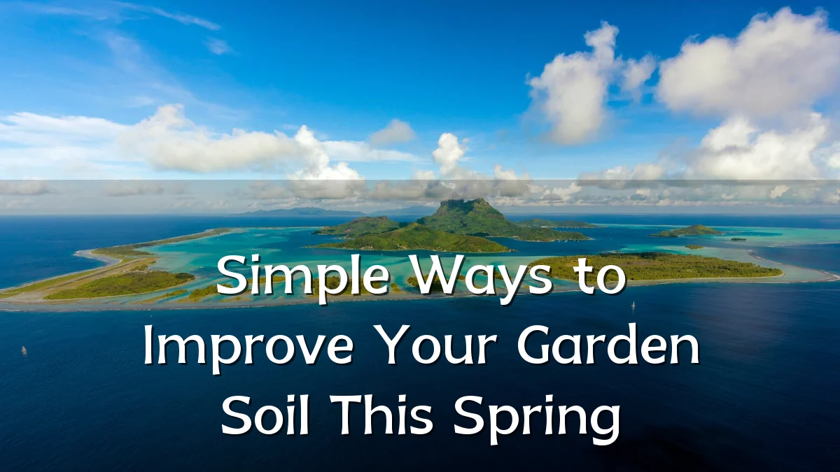 Simple Ways to Improve Your Garden Soil This Spring