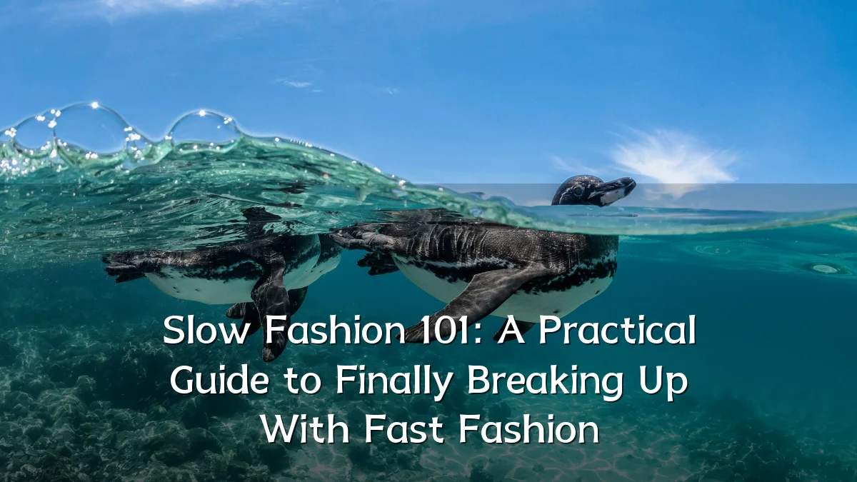 Slow Fashion 101: A Practical Guide to Finally Breaking Up With Fast Fashion