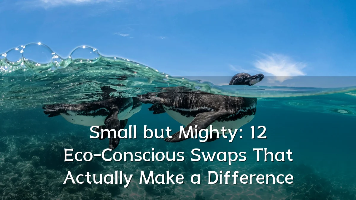 Small but Mighty: 12 Eco-Conscious Swaps That Actually Make a Difference