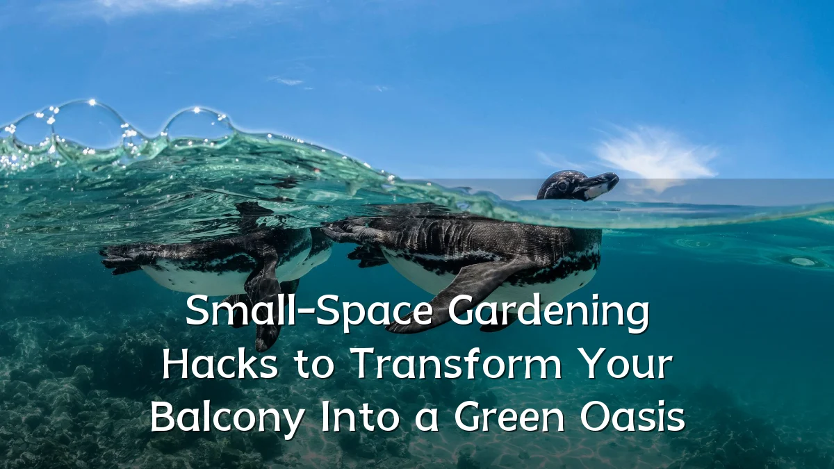 Small-Space Gardening Hacks to Transform Your Balcony Into a Green Oasis