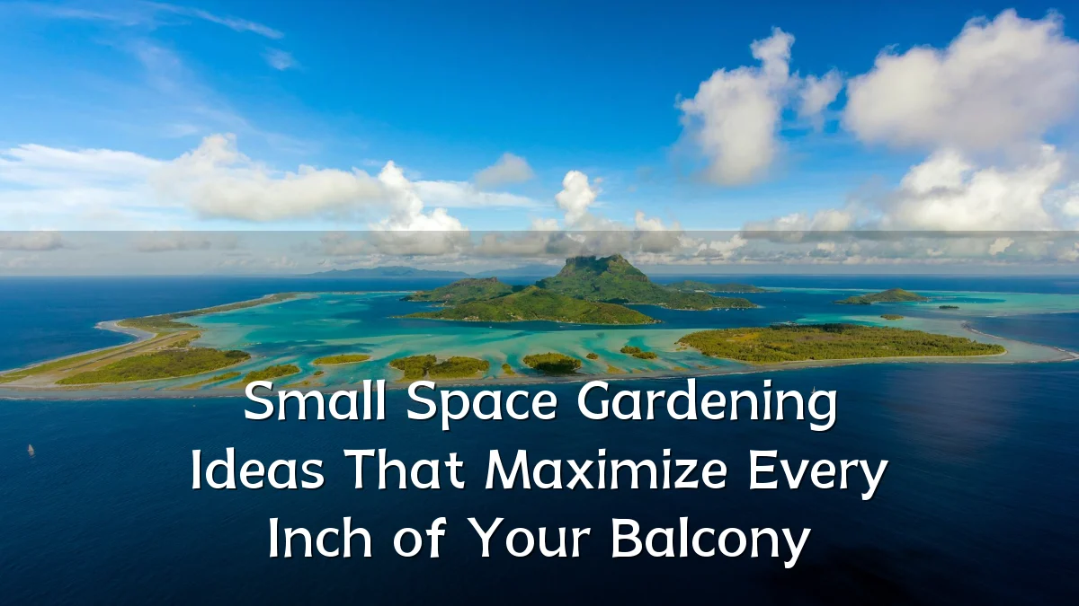 Small Space Gardening Ideas That Maximize Every Inch of Your Balcony