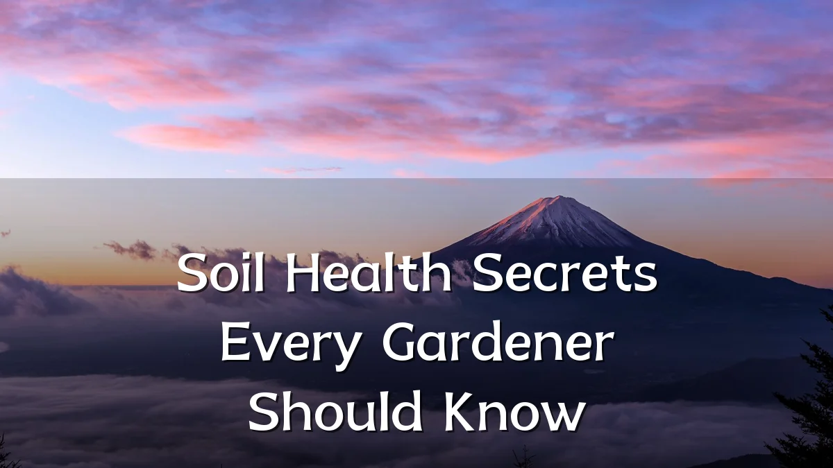 Soil Health Secrets Every Gardener Should Know
